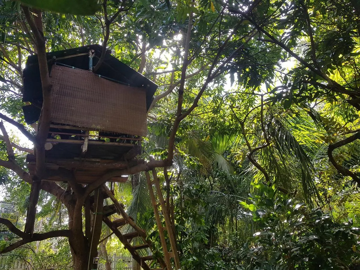 Green House Resort Sigiriya