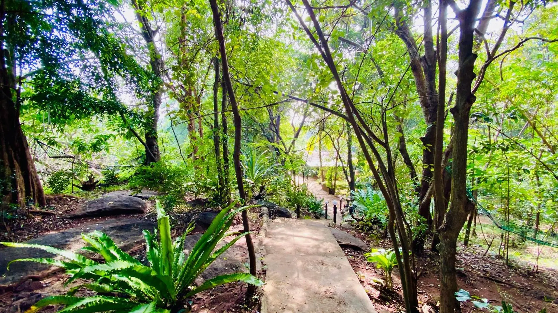 Green House Resort Sigiriya